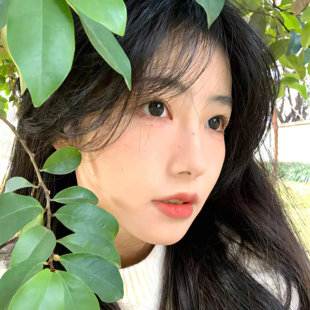 首尔单身日记